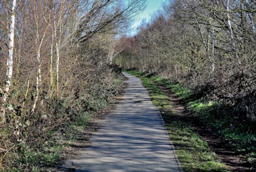 Trans Pennine Trail, Cudworth