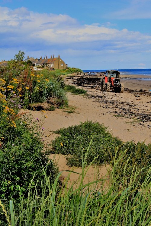 Boulmer Beach