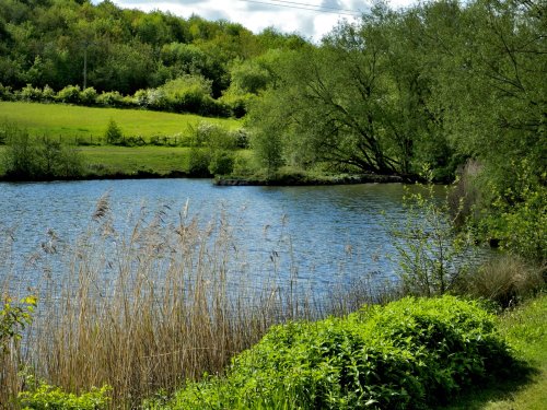 Poolsbrook Country Park, Staveley
