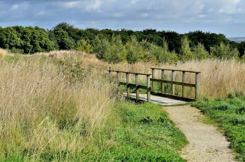 Entrance to Wombwell Wood