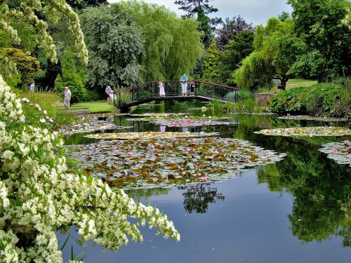 Lake at Burnby Hall Gardens, Pocklington
