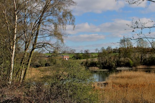 Carlton Marsh Nature Reserve