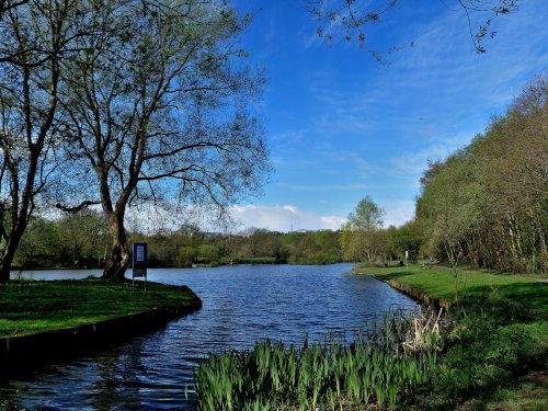 Dearne Valley Park, Barnsley