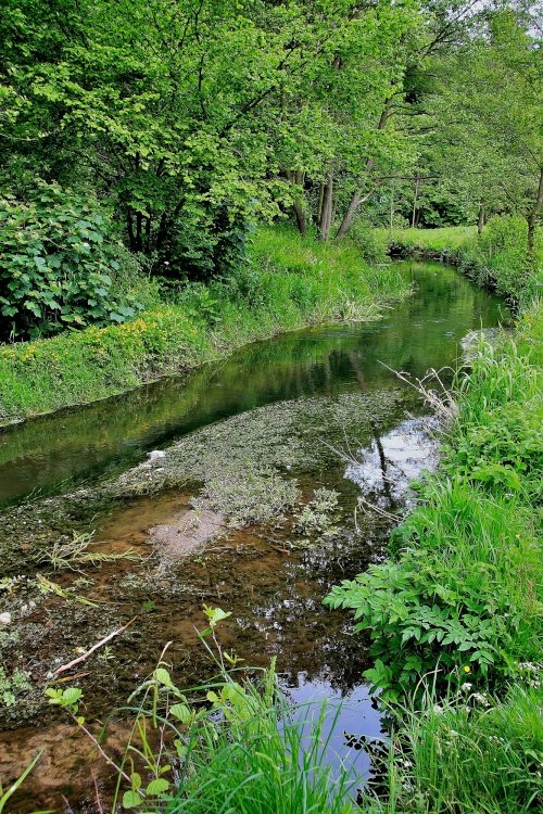 Forge Valley, Scarborough