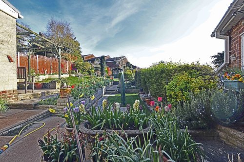 Under isolation with just my garden