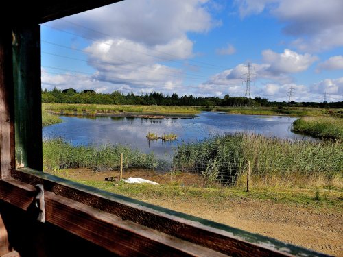 Inside Bittern Hide RSPB Old Moor