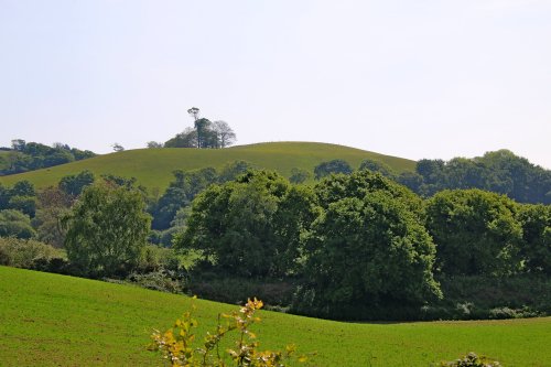 Looking over the Otter Valley