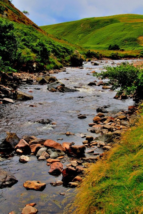 River Breamish, Ingram