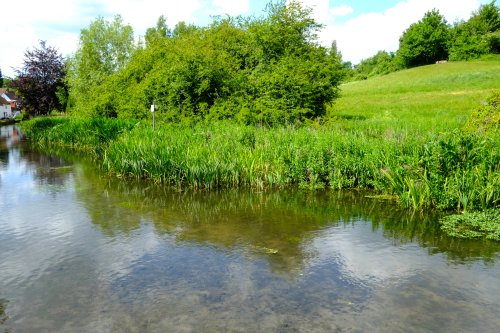 Loose Stream at Loose Village Kent