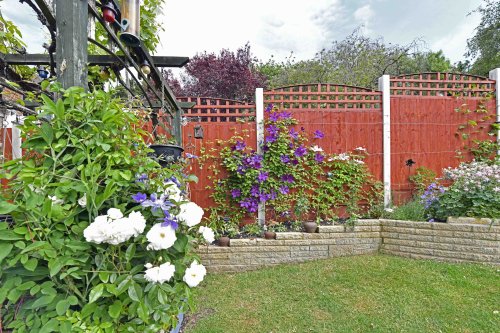 Locked in and nowhere to go except my garden in Rochester