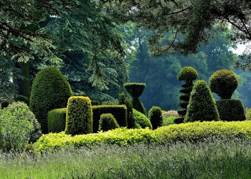 Topiary, Brodsworth Hall