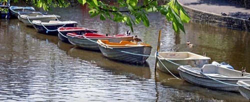 Rowing boats in the botanic gardens