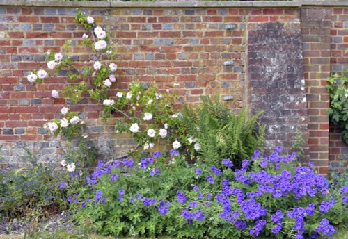 Riverhill Himalayan Gardens