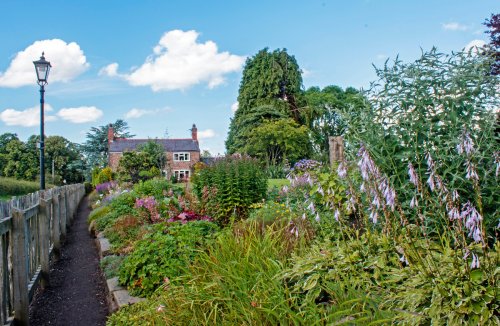 Cottage Gardens