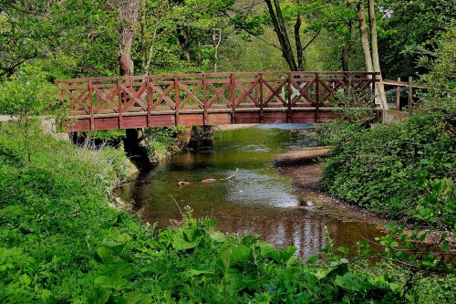 Wooden Bridge, Constable Burton Gardens