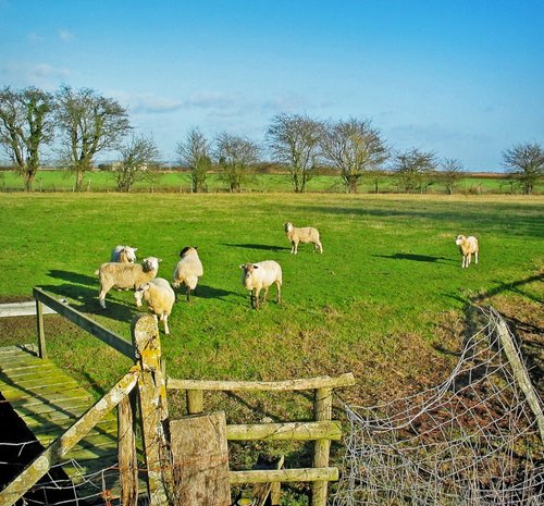 The meadow behind the church