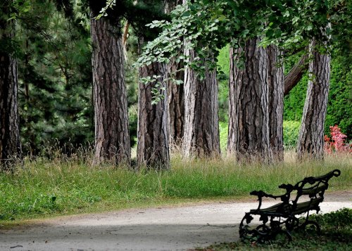 Gardens of Brodsworth Hall near Doncaster