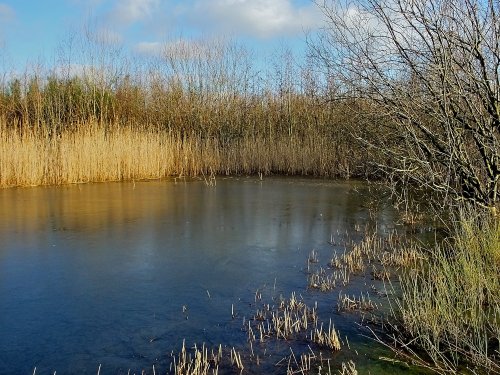 Frozen Lake at RSPB Old Moor