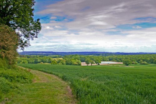 Overlooking the South Downs at Elsted