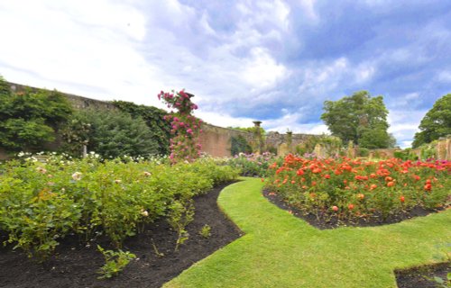 Hever Castle Rose Garden