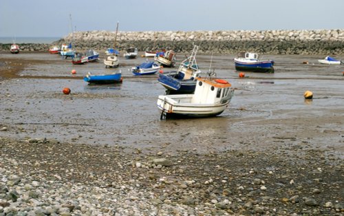 Low Tide