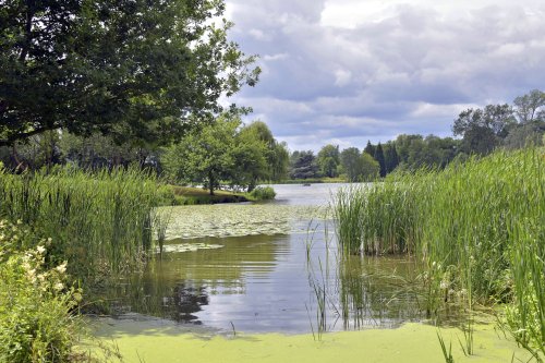 Lake Walk, Hever Castle