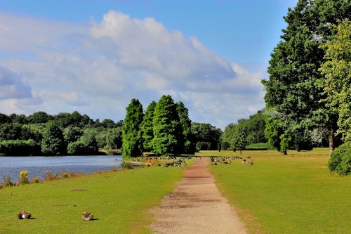 Clumber Country Park