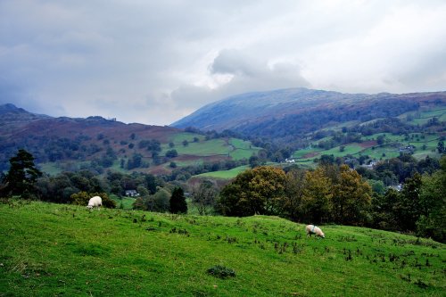 Loughrigg Fell, Ambleside