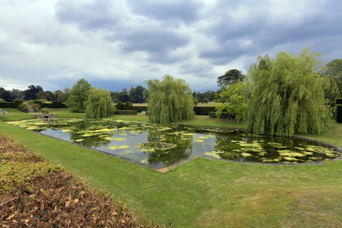 Godinton House Garden Lily Pond , Great Chart