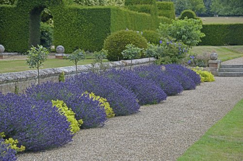 Godinton House Garden, Great Chart