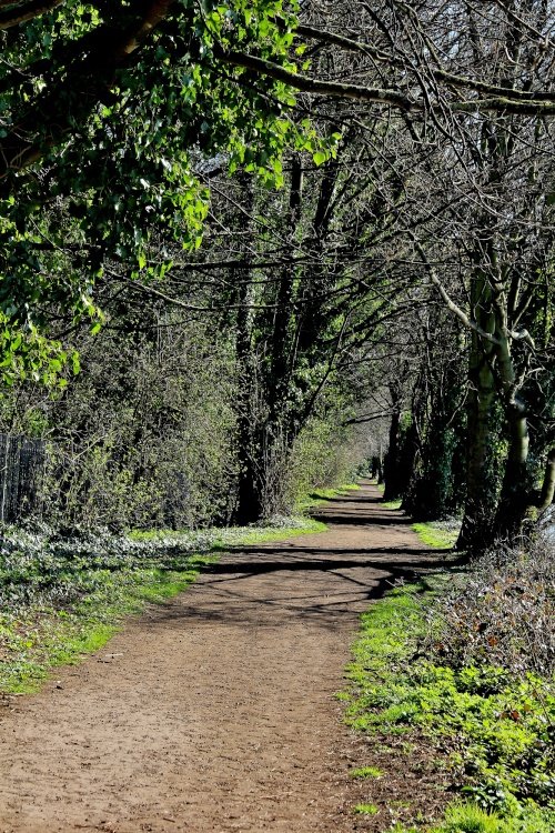 Path beside the River Don, Sprotbrough