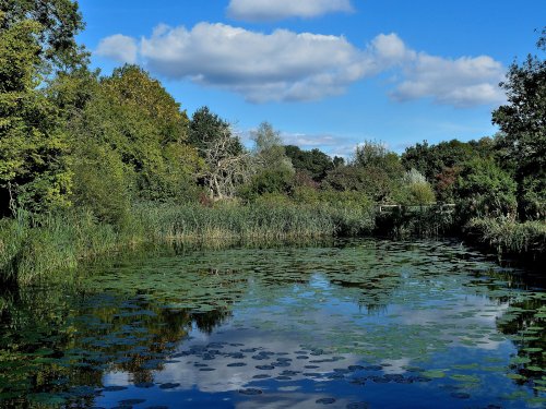 Phyllis Currie Nature Reserve, Great Leighs