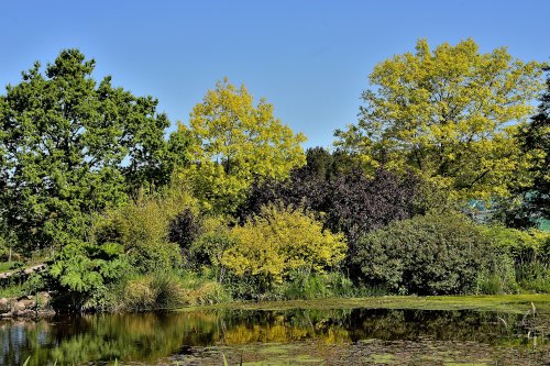 RHS Harlow Carr Gardens