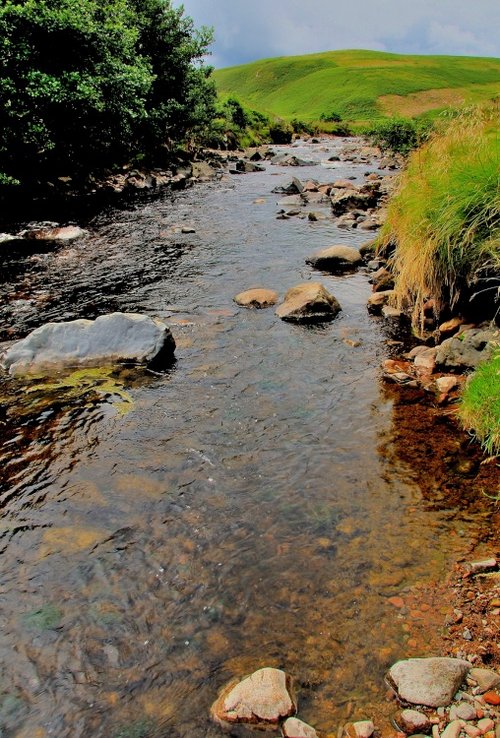 River Breamish, Ingram