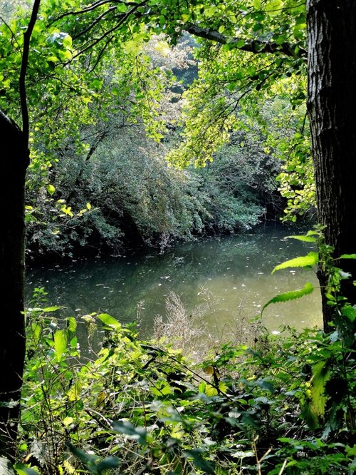 River Dearne, Barnsley