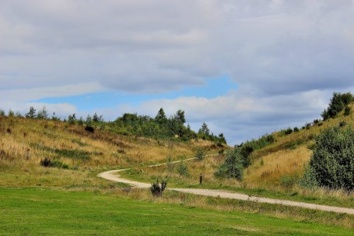 Rabbit Ings Country Park Royston