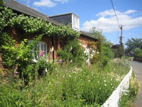 A beautiful cottage garden in Brightwell-cum-Sotwell