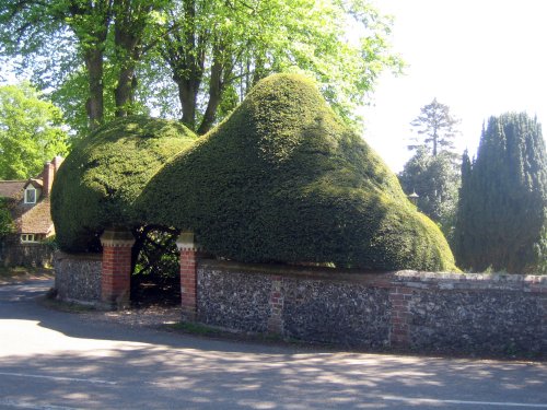 Some of the magnificent topiary in and around the churchyard at Kidmore End