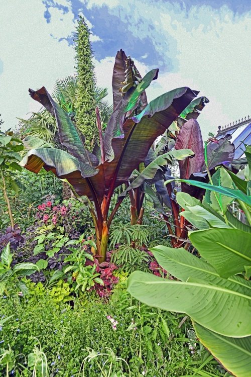 Abbeywood Gardens, Delamere