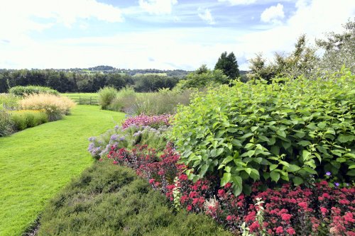 Abbeywood Gardens, Delamere