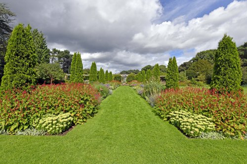 Abbeywood Gardens, Delamere