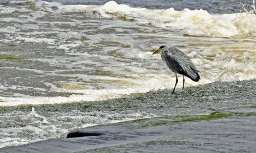 At Shibden Hall Park