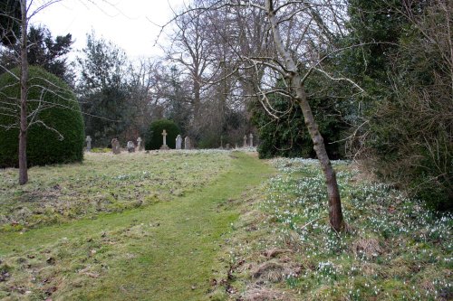 Snowdrops in the churchyard at pyrton