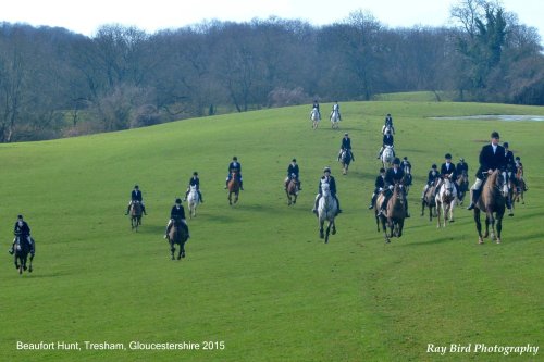Beaufort Hunt, Tresham Gloucestershire 2015