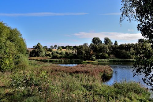 Carlton Marsh Nature Reserve