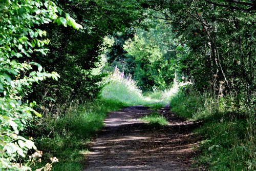 Carlton Marsh Nature Reserve