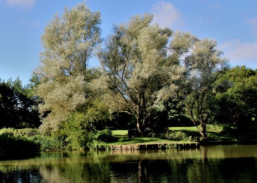 Dearne Valley Park Barnsley