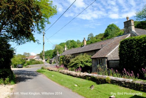 Drifton Hill, West Kington, Wiltshire 2014