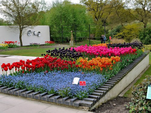 RHS Harlow Carr Display Gardens