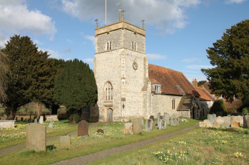 Spring daffodils in the churchyard at Bucklebury